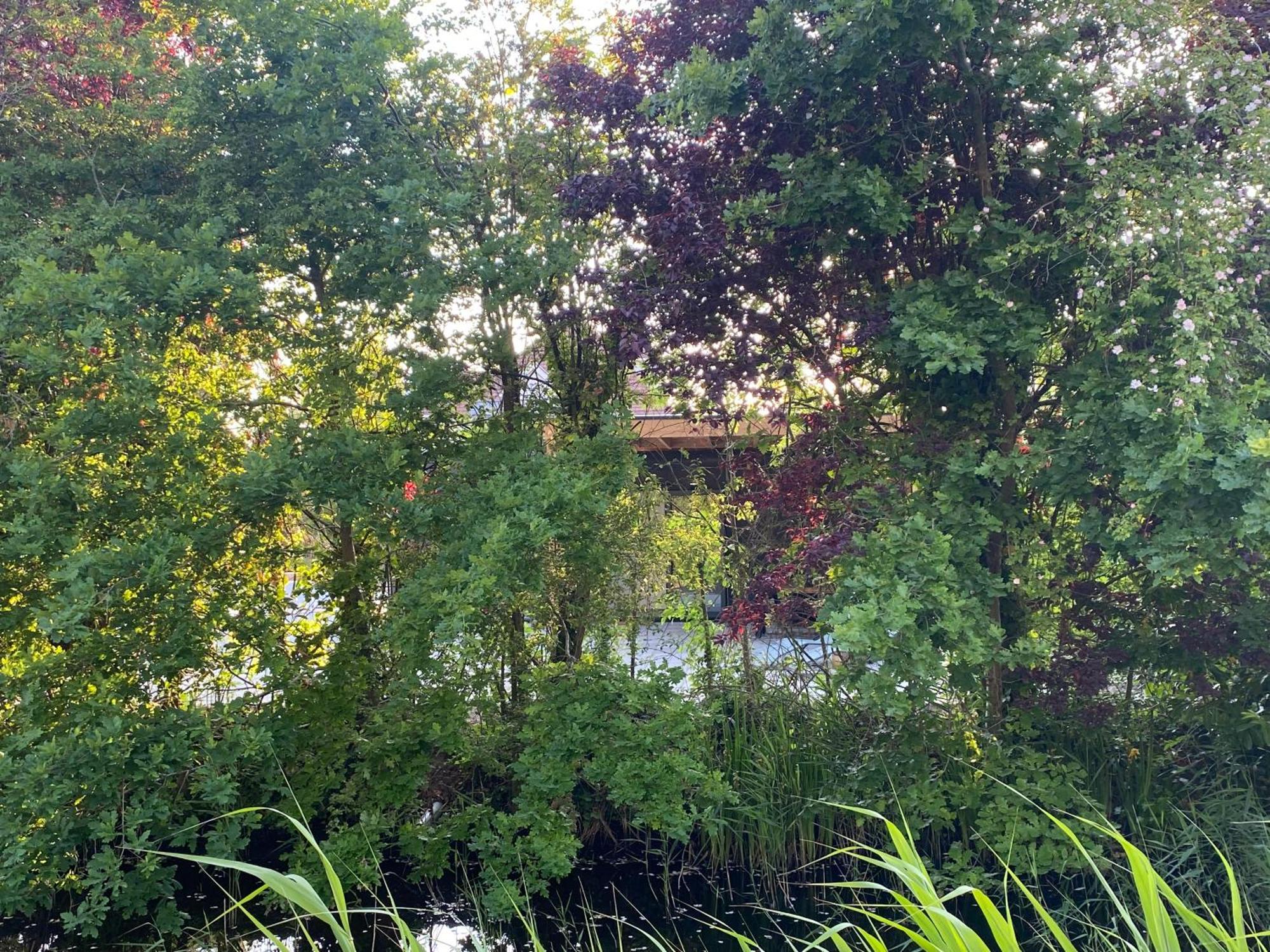 Casa Qirih Otel Zierikzee Dış mekan fotoğraf